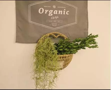 你的家配電箱，所以裝修很漂亮！